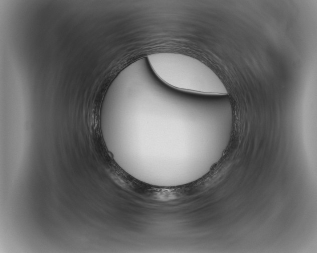 X0000116450091200912081423