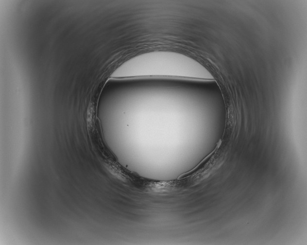 X0000116450092200912081423