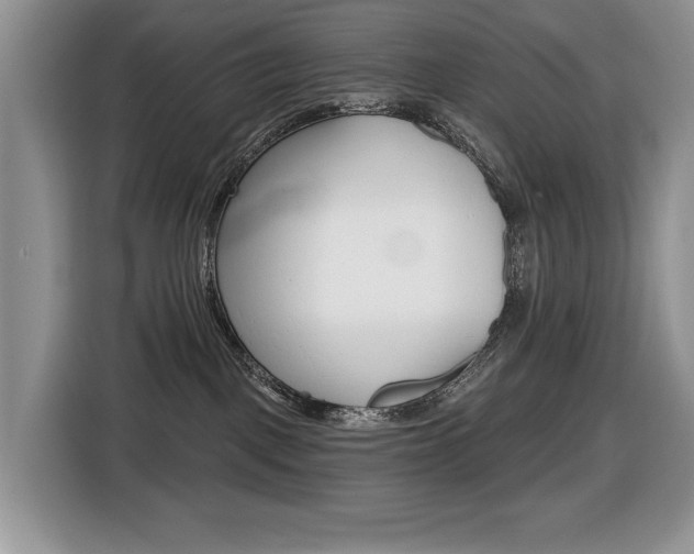 X0000116450093200912081423