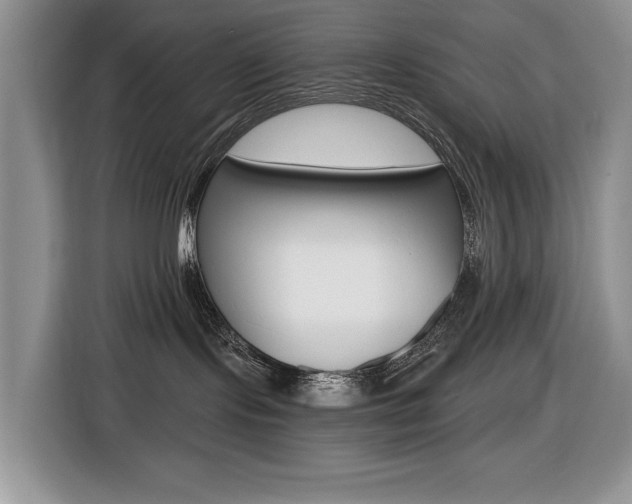 X0000116450095200912081423