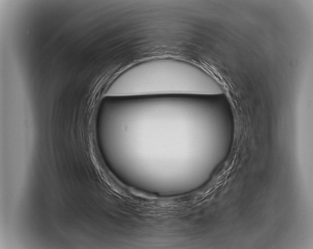 X0000116450097200912081422