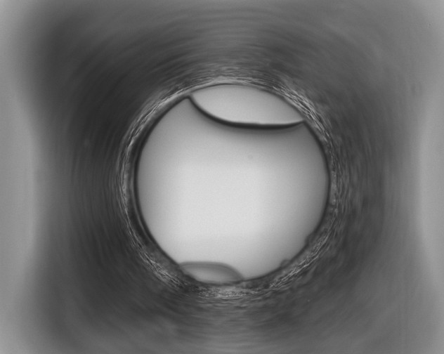 X0000116450098200912081422
