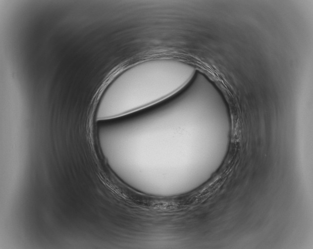 X0000116450099200912081422