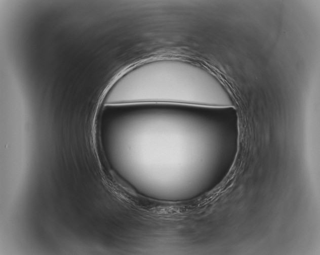 X0000116450100200912081422