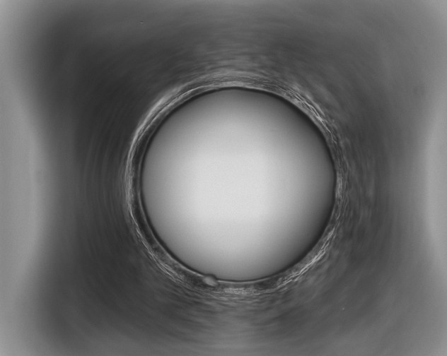 X0000116450101200912081422