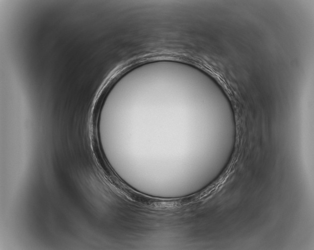 X0000116450102200912081422