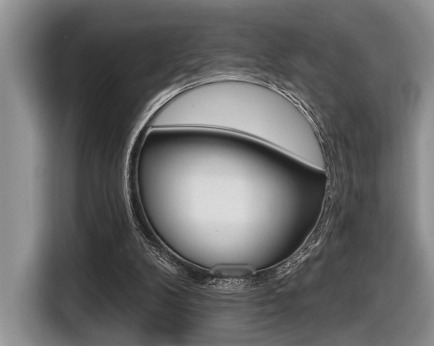 X0000116450104200912081422