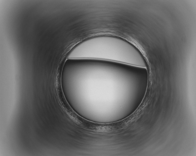 X0000116450105200912081422