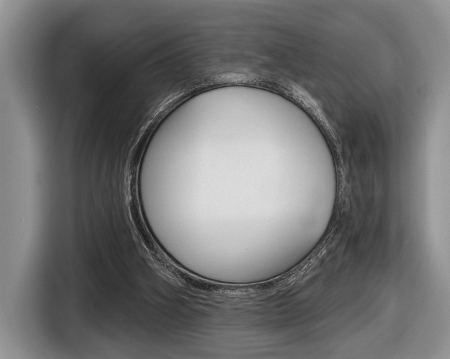 X0000116450106200912081422