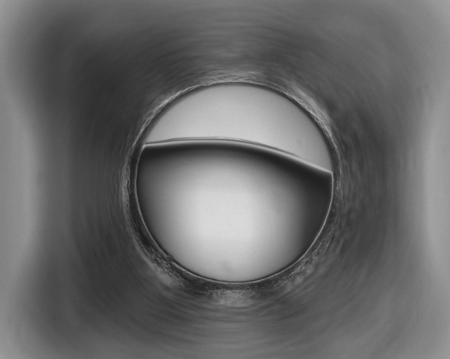X0000116450107200912081422