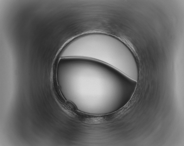 X0000116450108200912081422