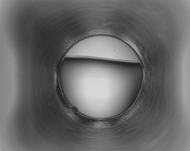X0000116450109200912081422
