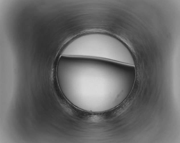 X0000116450111200912081422