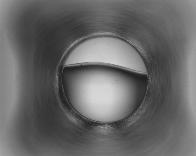 X0000116450112200912081422