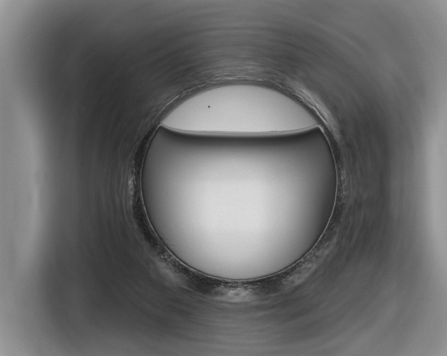 X0000116450113200912081422