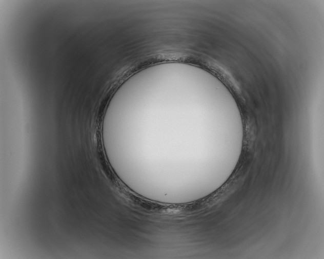 X0000116450114200912081422