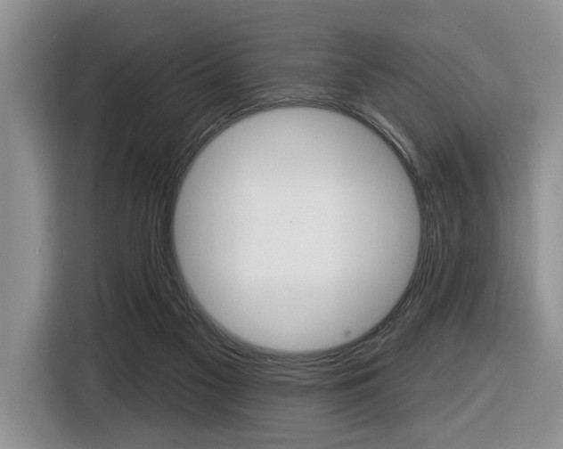 X0000116450117200912081422