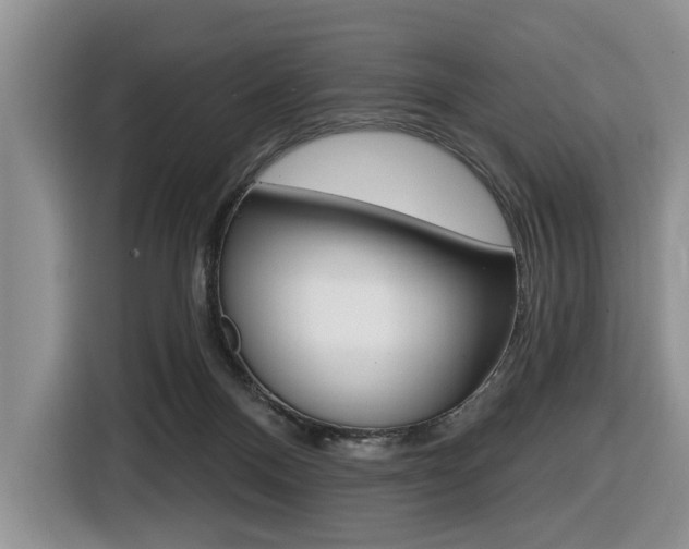 X0000116450120200912081422