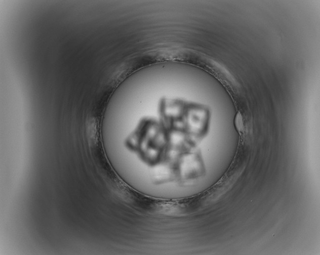 X0000116450121200912081422