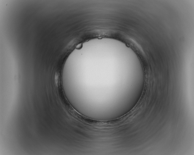 X0000116450123200912081422