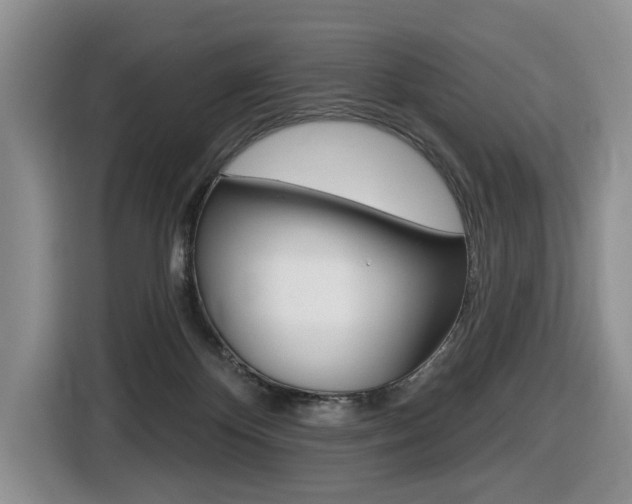 X0000116450124200912081422