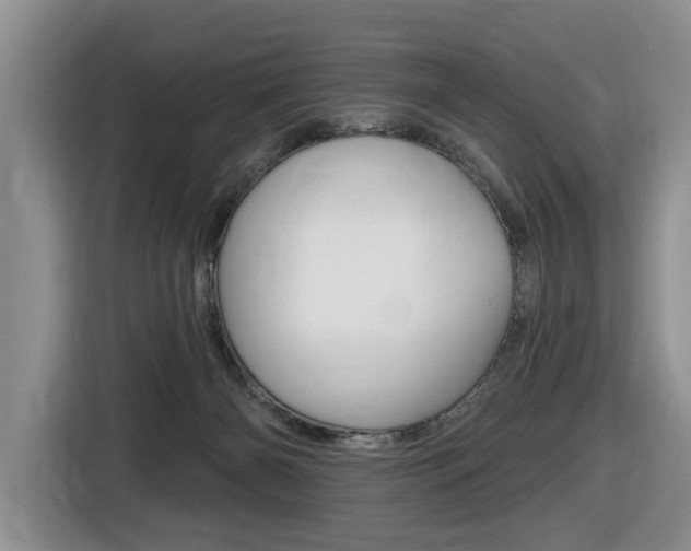 X0000116450126200912081422