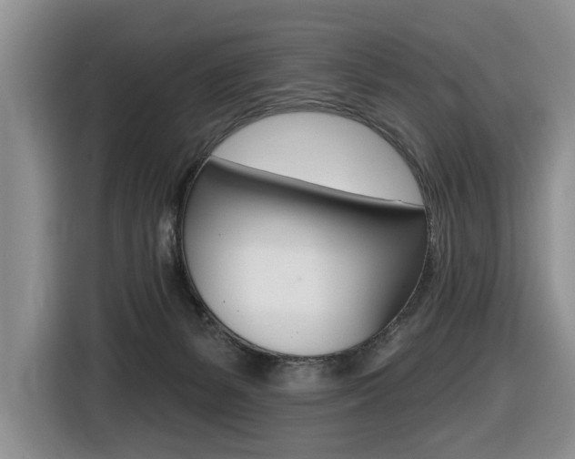 X0000116450127200912081422