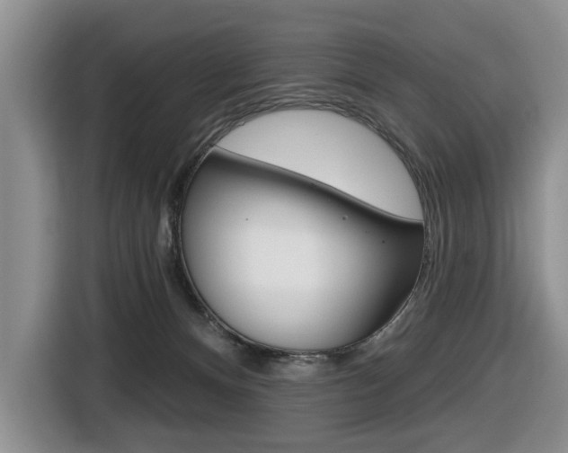 X0000116450128200912081422