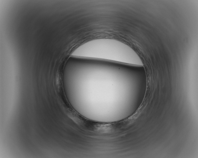 X0000116450132200912081422