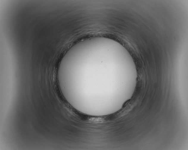 X0000116450133200912081422