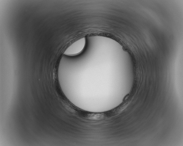 X0000116450135200912081422