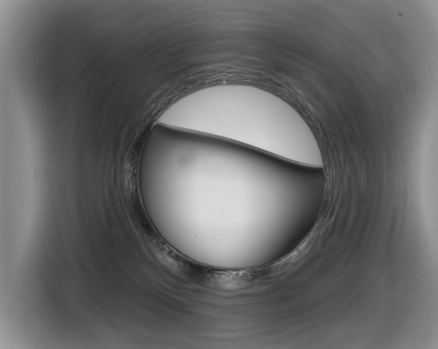 X0000116450136200912081421