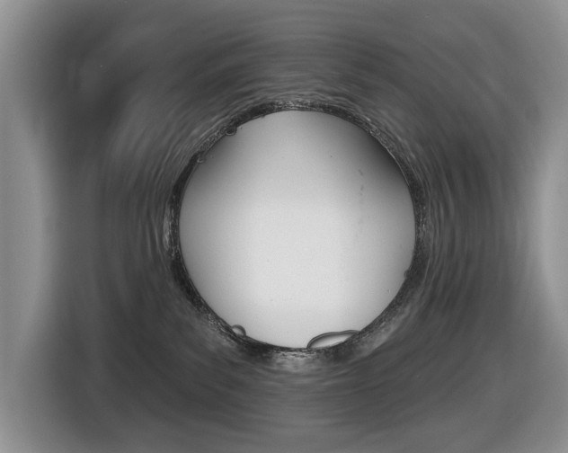 X0000116450139200912081421