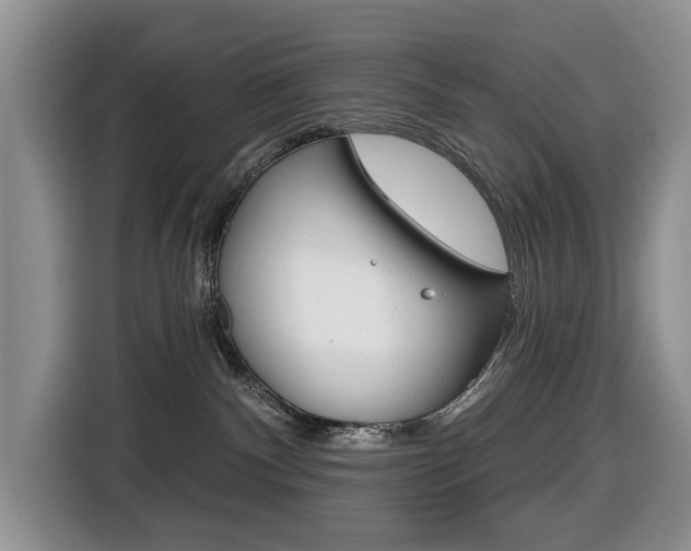 X0000116450140200912081421