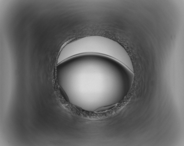 X0000116450144200912081421