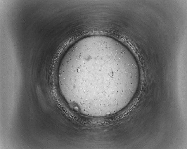 X0000116450145200912081421