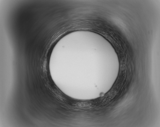 X0000116450146200912081421