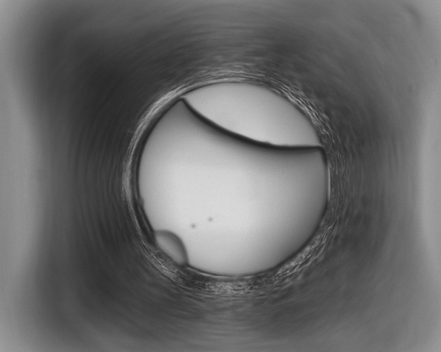 X0000116450147200912081421