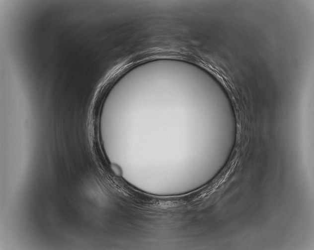 X0000116450149200912081421