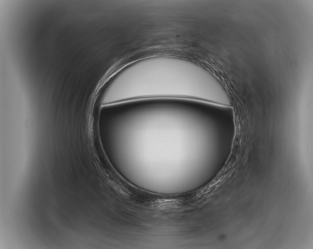 X0000116450150200912081421