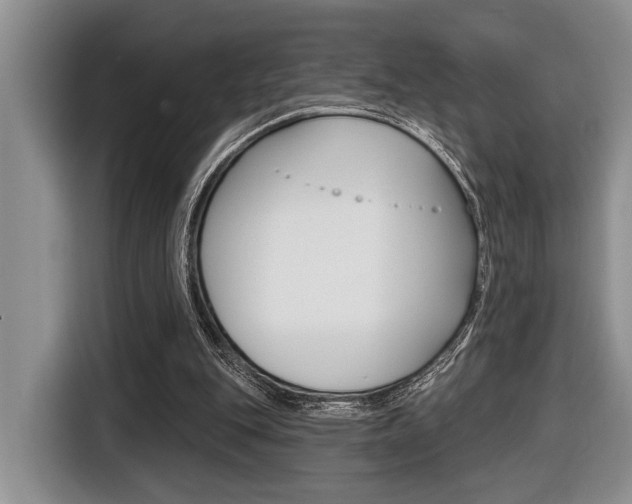 X0000116450151200912081421