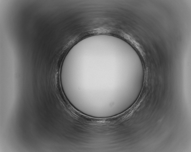 X0000116450153200912081421