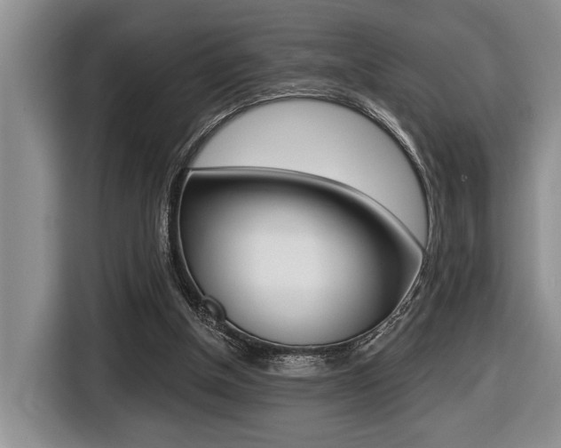 X0000116450154200912081421