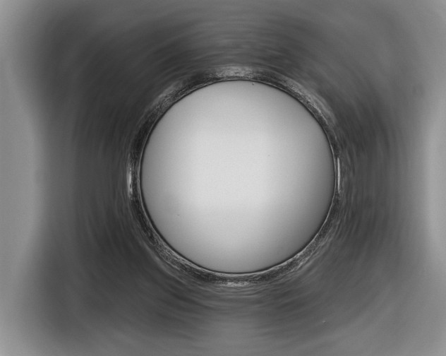 X0000116450157200912081421