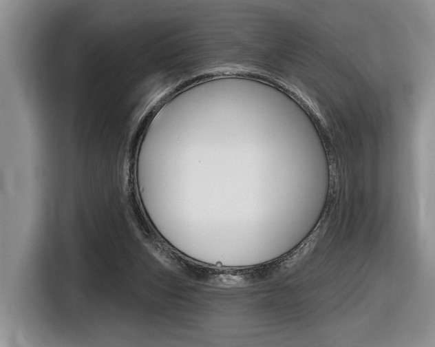 X0000116450159200912081421