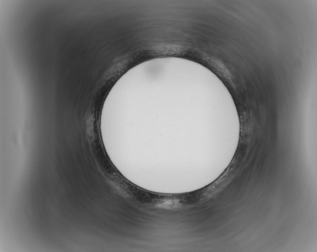 X0000116450162200912081421