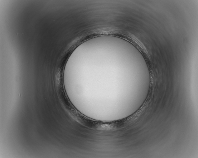 X0000116450163200912081421