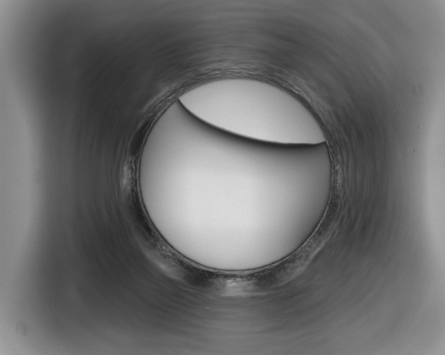 X0000116450165200912081421