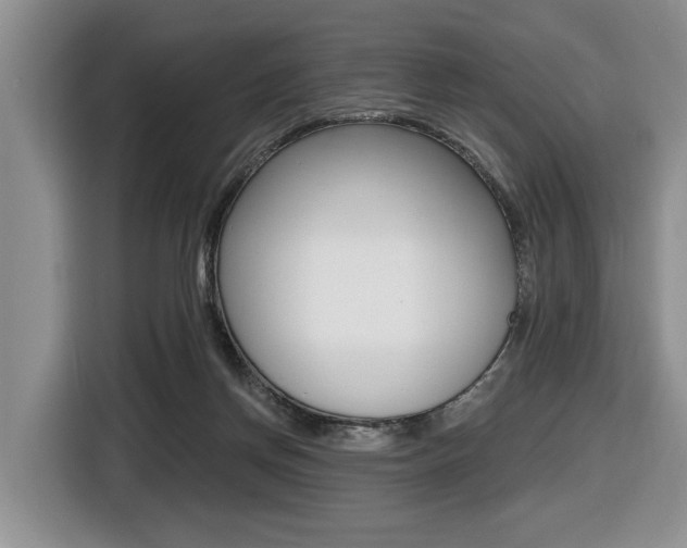 X0000116450166200912081421