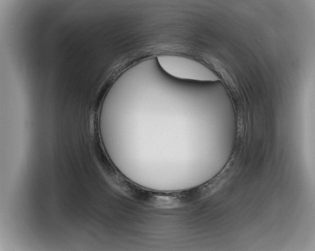 X0000116450167200912081421